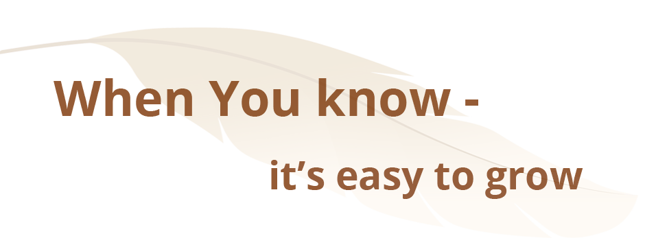 BeeDo projects, pipeline, teamwork software